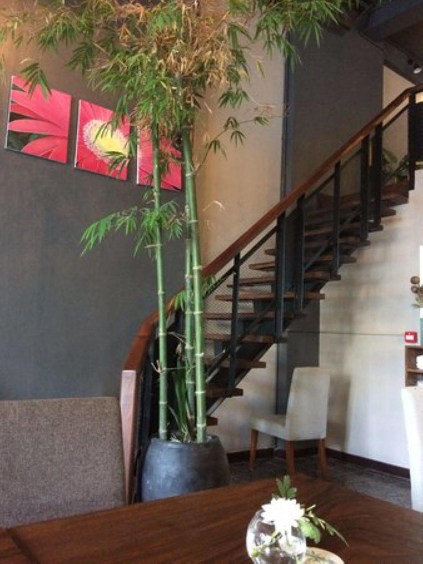 Monsoon Bassac Hotel Пном Пен Екстериор снимка
